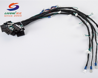 Kabel Rakitan Profesional 2.54mm 2/3/4/5/6 Pin Konektor Betina ECU SH JST ZH PH XH Kabel Khusus