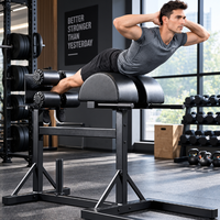 Chaise romaine demi-ronde durable pour entraînement de la taille – Vente en gros