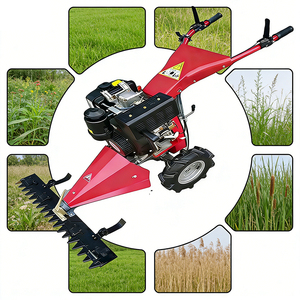 Tondeuse autoportée Savanna 212cc essence, largeur de coupe 80-120cm, hauteur réglable 1-8cm, pneus pleins, pour ferme africaine - Product Image 1