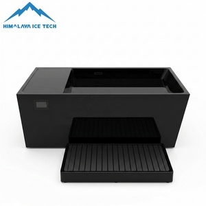 Bain froid tout-en-un haut de gamme avec refroidisseur intégré 1HP/1.5HP - Contrôle par application, stérilisation à l'ozone, nettoyage facile pour hôtels de luxe - Product Image 5