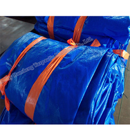 Tissu en maille polyester pour la fabrication de bâche de piscine Textile industriel 500 500 9 9 Plaine Party Pvc GSM Technics