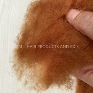 100% Con Cừu Len Trung Quốc Cừu Dehaired Cashmere Len 22mic Nhuộm Màu Sắc Mẫu Miễn Phí - Product Image 3