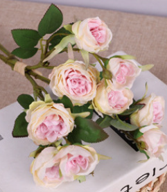 สีชมพูอ่อน