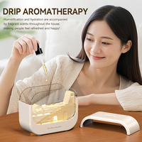 Mini Diffuseur d'Huiles Essentielles Paysage 250ml, Humidificateur d'Air Électrique de Bureau à Brume Froide, Veilleuse Colorée pour la Maison