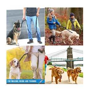 Wholesale Nylon Dog Leash Strong Durable Pet <b>Training</b> <b>Lead</b> with Soft Grip Handle Secure Metal Clasp for Daily Walking & Outdoor - Product Image 4