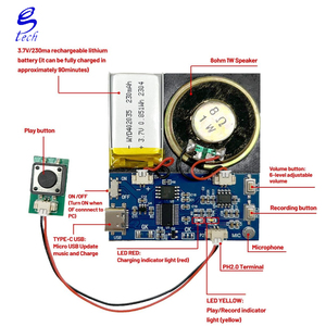 Yüksek kalite 16MB düğme aktif ses modülü hoparlör lazer mesafe sensörü c-tipi kablo kolay kayıt optik sensörler - Product Image 6