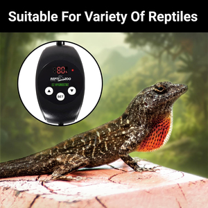 REPTIZOO Hygrostat numérique, contrôleur d'humidité LED, humidistat pour reptiles, contrôle de l'humidité pour <span class=keywords><strong>terrarium</strong></span> de reptiles, humidificateur, <span class=keywords><strong>brumisateur</strong></span> - Product Image 4