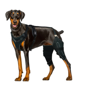 Attelle de genou réglable pour chien avec support métallique pour soulager l'arthrite et les lésions des ligaments croisés antérieurs et postérieurs, protection double pour les pattes - Product Image 5