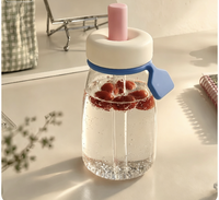 Bouteille d'eau portable en verre avec paille, jolie bouteille à café en verre