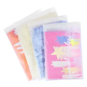 Biodegradable Custom Logo Printing Slider Zip Pouch Swimwear Clothing Frosted Ziplock Plastic Zipper Bag for Package