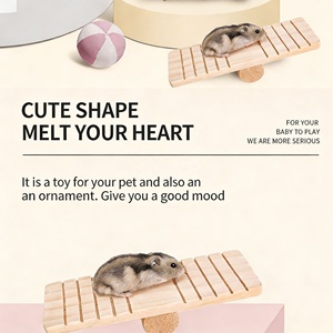 Ensemble de jouets pratiques pour petits animaux, écologiques, durables, naturels, non toxiques, jouets de dentition pour lapin, hamster, perroquet, fournitures pour animaux de compagnie - Product Image 5