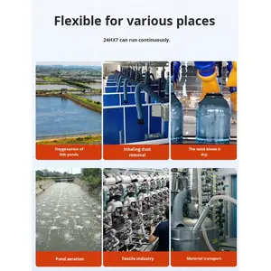 Dubbele impeller hogedruk vortex ventilator visvijver kweek zuurstofvoorziening industriële 380V krachtige roerende vacuümpomp luchtmotor - Product Image 5