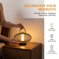 Lanterne portable en métal avec cage en fil métallique, 3 couleurs, sans fil, rechargeable, pour le camping, la terrasse, la table de chevet, lumière d'ambiance LED