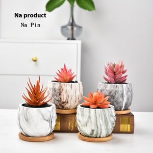 Vente en gros de pots d'ananas succulents en céramique émaillée écologique quatre couleurs disponibles pour le marché pots de fleurs jardinières - Product Image 2