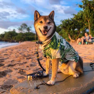Customized Pet T-shirt Hawaiian Style Puppy Clothes Luxury Short-sleeved Buttoned Polyester Pet Leisure Shirt For Dogs And Cats