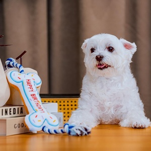 Nouveauté 2026 : Jouet à mâcher pour chien Chroma en forme d'os, résistant à l'usure, pour le soulagement des dents et l'entraînement, avec nœud en corde - Product Image 6