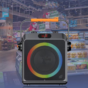 Haut-parleur portable d'extérieur S65 avec lumière RGB, haut-parleur KTV sans fil Bluetooth, rechargeable par USB, pour fêtes, vente en gros - Product Image 5