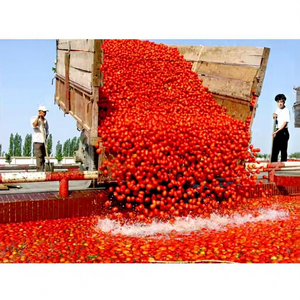 เครื่องผลิตฮาริสสาและมะเขือเทศอัตโนมัติสำหรับสายการผลิตทางอุตสาหกรรมพร้อมการปรับแต่งจากโรงงาน - Product Image 1