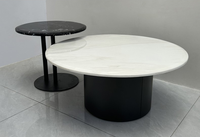 Ensemble de tables basses gigognes modernes et minimalistes pour salon, gain de place, 2 pièces, rondes, en placage de marbre