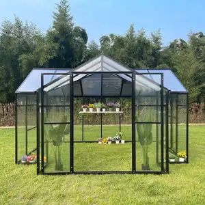 Aluminium Frame Outdoor Greenhouse Glass House Insulating Glass Greenhouses