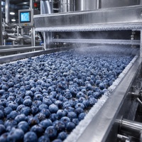 Beku IQF Blueberry Berkualitas Tinggi Grade A, Pasokan Grosir Buah Beku Segar untuk Smoothie, Kue, dan Jus