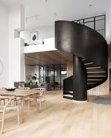 Kits d'escaliers en spirale intérieurs et extérieurs de style élégant