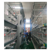 Prix de gros, système d'abreuvement automatique pour élevage de poulets, cage à oiseaux, cages à poules pondeuses à vendre, bon matériau