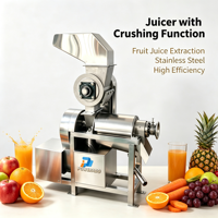 Industriële citruspers/sapcentrifuge van roestvrij staal voor citroen, appel, peer, ananas, wortel; commerciële sapmachine; spiraalpers