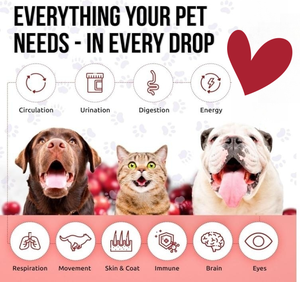 Бесплатные образцы мультивитаминных жидких капель для кошек 10 в 1, витамины и добавки для собак, чтобы помочь при аллергии и утисе для бедер и суставов - Product Image 2