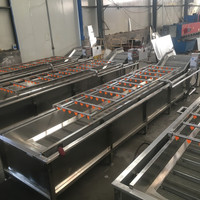 Bubble Fabrikant Boom Blad Surf Aardbei Garnalen Tomaat Rode Chilipeper Aardappel Palm Datum Schoon Wassen Machine