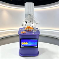 Machine de Bingo avec Écran d'Affichage, Machine à Loterie, Ensemble Cage de Bingo, Tube d'Affichage pour 100 Boules d'Activité de Bingo