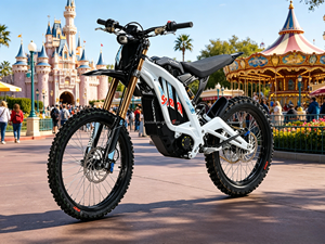 Nouvelle Moto Tout-Terrain Électrique Surron <span class=keywords><strong>Light</strong></span> <span class=keywords><strong>Bee</strong></span> X 10KW 2026, Stock US, 72V 35Ah, Nouvelle Couleur Blanche, Prête à l'Expédition - Product Image 5