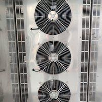 Aumesch 36 Plateaux Double Porte Congélateur-76 °C Congélation Rapide Dégivrage Automatique Réfrigération Commerciale pour Crème Glacée Gelato