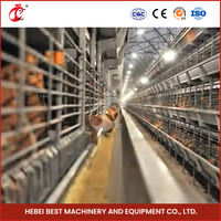 Cage à poulets en métal de type H pour élevage de volailles, design moderne, manuelle et automatique, avec bande à fumier