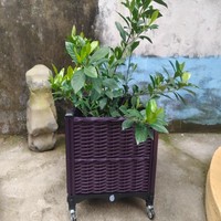 Jardinière rectangulaire en plastique imitation rotin PP, lit de jardin surélevé en osier tressé marron, léger, avec roulettes, trous de drainage et système d'arrosage automatique