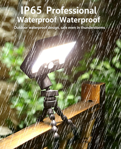 Outdoor Solar <b>Light</b> Garden Lamp Street Lamp Home Wall <b>Light</b> Courtyard <b>Light</b> <b>Motion</b> <b>Sensor</b> <b>Light</b> - Product Image 1