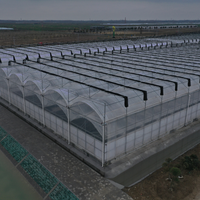 Serre de culture biologique à tunnel pour l'élevage d'escargots Serre hydroponique à film plastique pour tomates laitue concombre