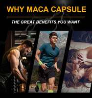 Capsules de racine de Maca en marque privée Chinaherbs, vente en gros, Ashwagandha, Shilajit, sans œstrogène, sans paraben, pour la santé de la prostate masculine