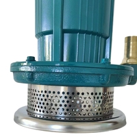 Pompe submersible haute pression QDX 1 pouce AC 0,37 kW, pompe d'irrigation et de drainage, moteur entièrement fermé non ventilé, câble de 5 m pour puits