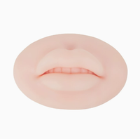 Kulit Latihan Bibir Realistis Silikon Penuh Terbuka, untuk Tato Mikroblading Make Up Permanen Label Pribadi Kustom Terbaru