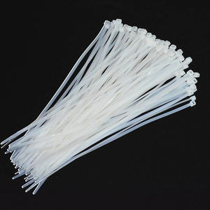 Самоблокирующийся нейлоновый пластик, 2,5*100 мм, УФ-стойкие, экологически чистые, прочные ремни, Прямая продажа с завода - Product Image 4