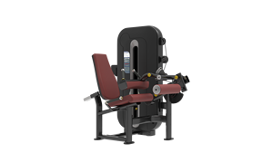 Hot Bán Phòng Tập Thể Dục Thương Mại Dễ Bị Chân Curl Ngồi Chân Uốn Cong Và Máy Mở Rộng Chức Năng Kép Chân Uốn Thiết Bị Đào Tạo - Product Image 2