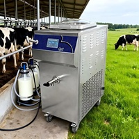 Pasteurisateur de lait frais automatique de haute qualité 32L, machine de pasteurisation du lait en acier inoxydable automatique au prix d'usine