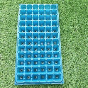 Plateaux de semis multi-cellules pour une germination efficace des semences Pot de plantation en plastique léger pour balcon et myrtille - Product Image 2