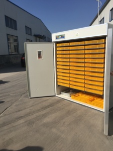 Éclosion de pigeon <span class=keywords><strong>paon</strong></span> 6000 oeufs de poule incubateur d'oeufs de volaille domestique HJ-I6336 - Product Image 3