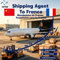 Agente de Transporte Marítimo Francia, Flete Aéreo Puerto de Marsella Fos, Agente de Logística, Servicios de Entrega Exprés, Agente de Transporte DDP