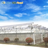Serre solaire photovoltaïque à simple travée avec couverture en film PO pour l'agriculture, taille personnalisable, systèmes d'irrigation et de ventilation