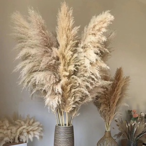 Wholesale Pampas Country Beige Natural <strong>Dried</strong> Pampas <strong>Grass</strong> for Wedding Home Hotel - Product Image 2