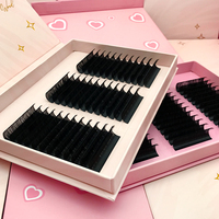 Vente en gros Extensions de cils noir mat foncé Volume individuel Plateau à cils en vison de soie Marque privée Plateau d'extension de cils en cachemire