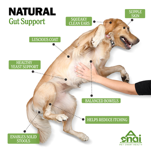 OEM/ODM probiótico natural masticables suaves alimentos para mascotas y suplementos para perros golosinas proveedores de aperitivos para la salud intestinal de las mascotas - Product Image 3